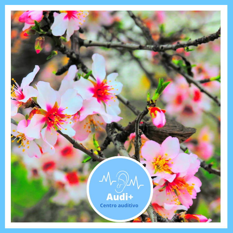 Primavera: alergias y tus oídos
